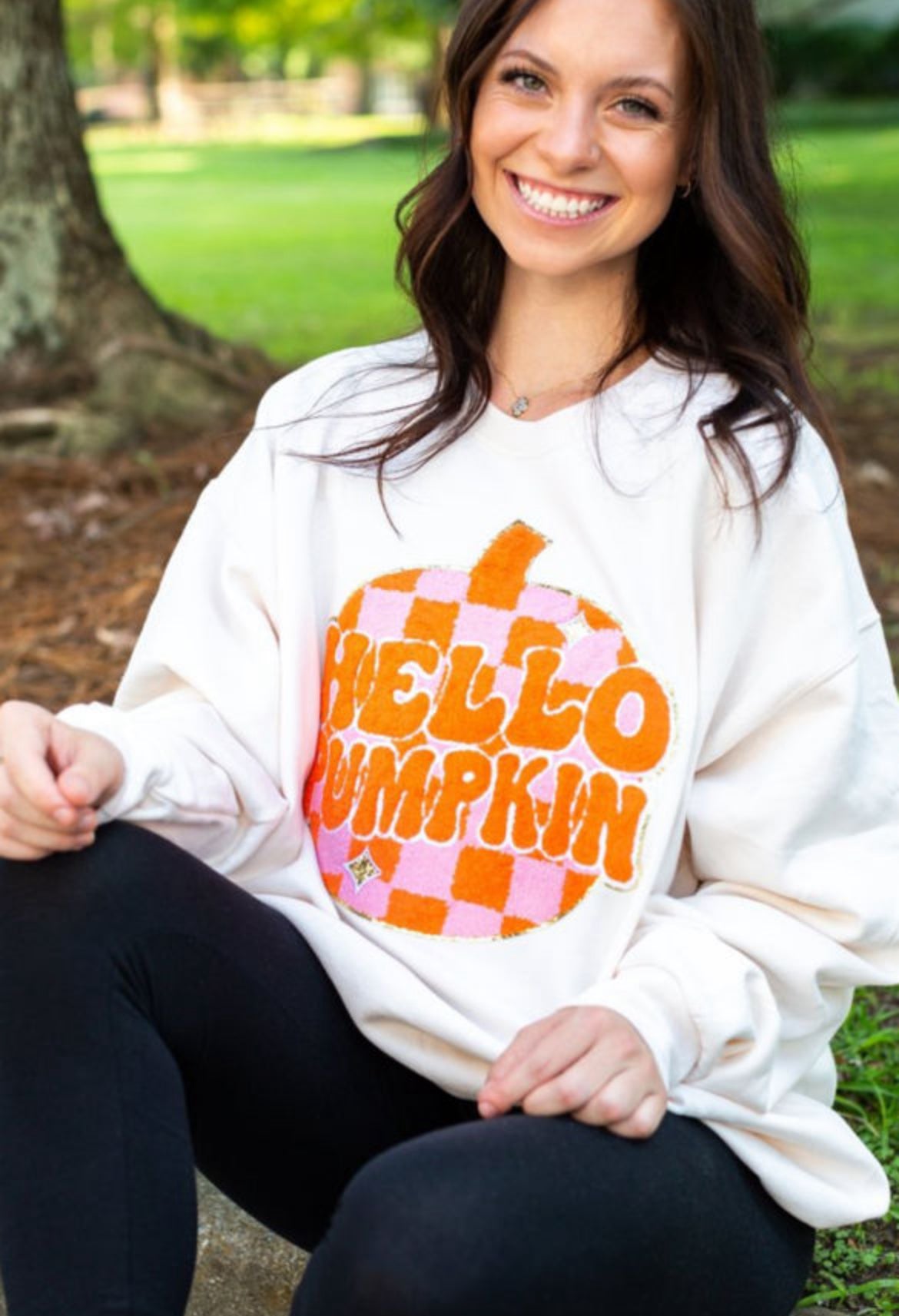 Hello pumpkin sweatshirt