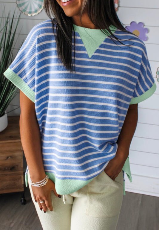 Blue striped contrast trim blouse