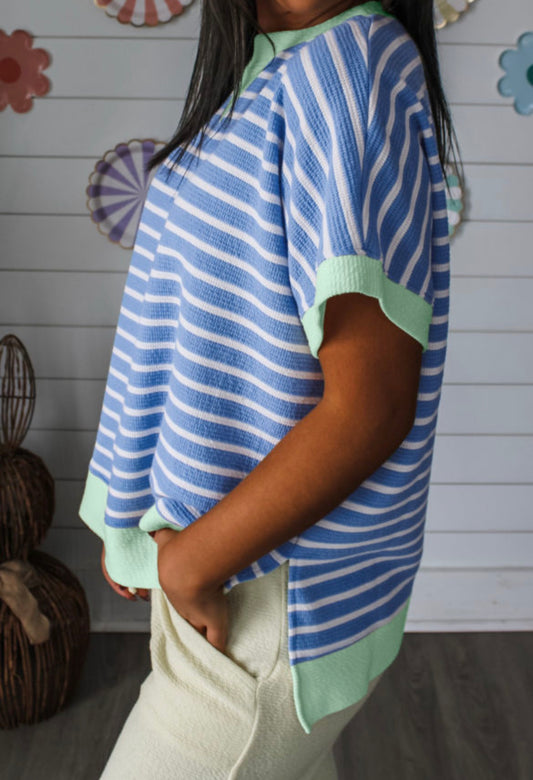 Blue striped contrast trim blouse